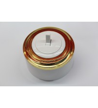 Выключатель (переключатель) 1-рычажковый (белый механизм, золото рамка, белый стакан) 